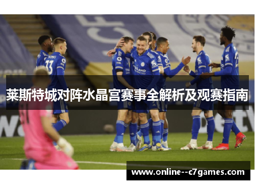 莱斯特城对阵水晶宫赛事全解析及观赛指南