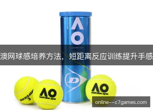 澳网球感培养方法,短距离反应训练提升手感 澳网球感培养方法,短距离反应训练提升手感
